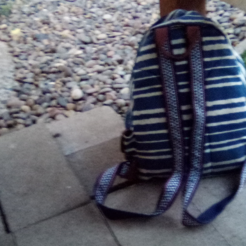 Backpack - Picture 3 of 3